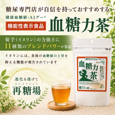 (日本生産)機能性表示食品　血糖力茶　