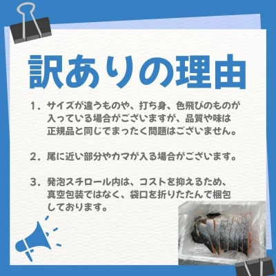 【厚切り】銀鮭 切り身 2kg 味付き 訳あり 家庭用 ふっくらジューシー!
