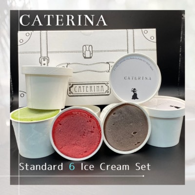 6種のアイスクリームセット【Standard】
