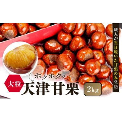 【先行予約】無添加大粒天津甘栗 2kg 2026年10月下旬より順次発送