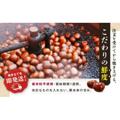 【先行予約】無添加大粒天津甘栗 3kg 2026年10月下旬より順次発送