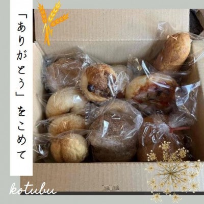 【10個入り】パン屋kotubuの自然の恵みのパンセット(小)
