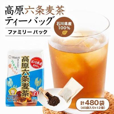 【12個入り】石川県産 日常茶 ファミリーパック 高原六条麦茶ティーバッグ 400g(40p)