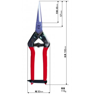 【ステンレス芽切・摘果鋏】◇近正のハサミ T-55SH