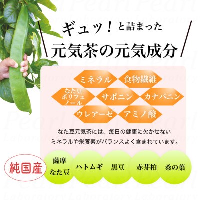 【2袋】健康茶「薩摩なた豆元気茶」ホット・アイス両用　自家用・ギフトにオススメです