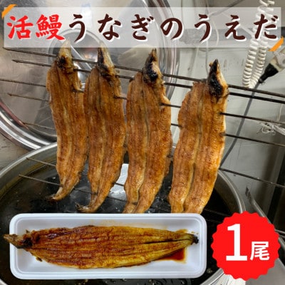 【1尾】活鰻 おいしいうな丼が作れる国産うなぎ蒲焼1本(タレ1ヶ入)