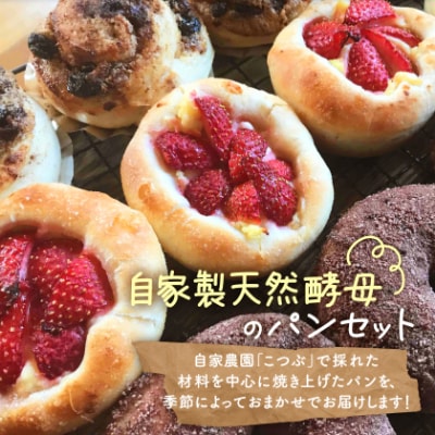 【10個入り】パン屋kotubuの自然の恵みのパンセット(小)