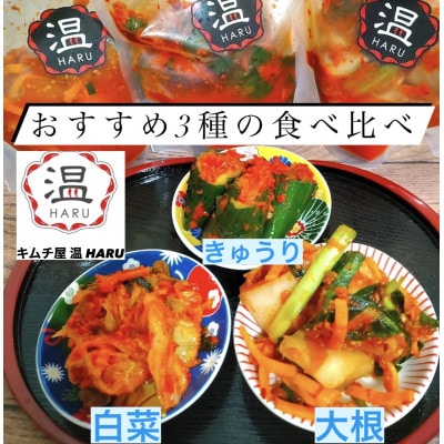 キムチ屋温の食べ比べキムチ3種(白菜、大根、きゅうり各300g)