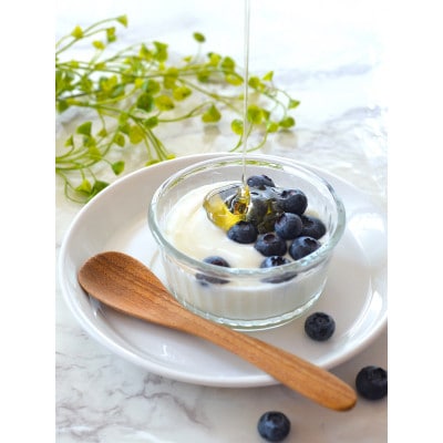 オーガニック 有機 アガベシロップ　500g×6本