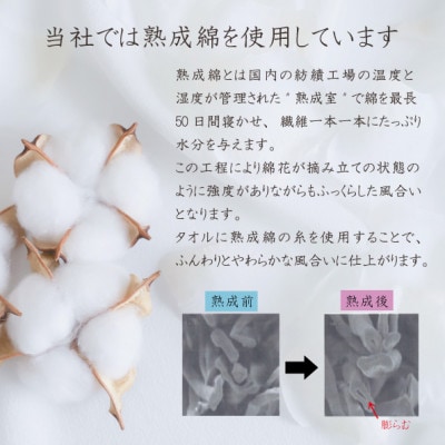 泉州タオル「ホテルタイプ」フェイスタオル4枚　ネイビー 010B1580