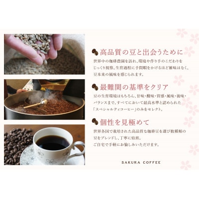 【桜珈琲】オリジナルブレンド珈琲2種(豆/400g)&特製アイス珈琲1本 無糖