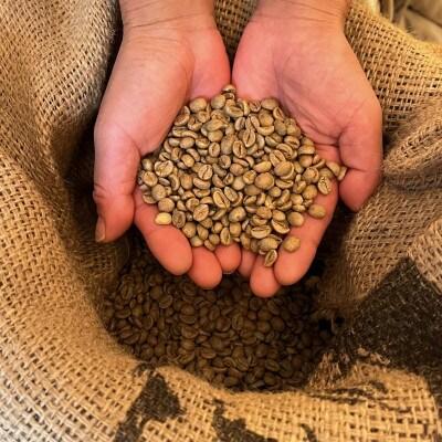 【毎月定期便】《粉3種計300g》ネコグラ珈琲焙煎所の煎りたて挽きたてコーヒーセット全3回