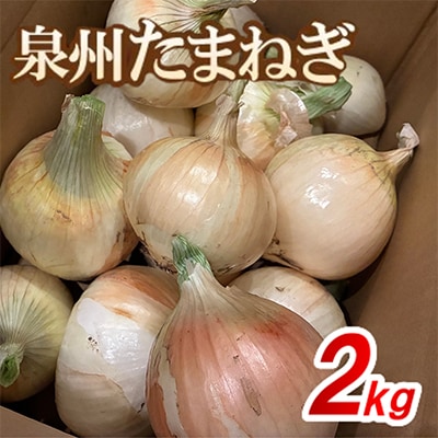 《無選別約2kg|数量限定》泉州たまねぎ　栽培期間中除草剤・殺菌剤不使用