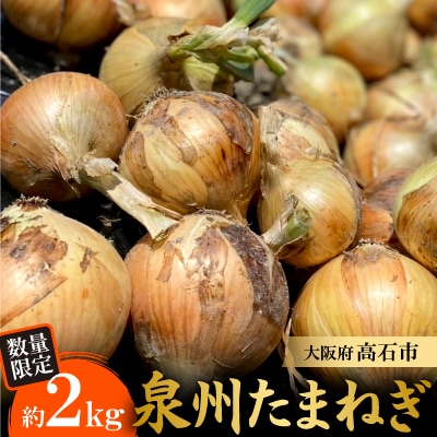 《無選別約2kg|数量限定》泉州たまねぎ　栽培期間中除草剤・殺菌剤不使用