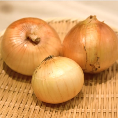 《無選別約2kg|数量限定》泉州たまねぎ　栽培期間中除草剤・殺菌剤不使用