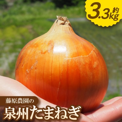 《約3.3kg》藤原農園の泉州たまねぎ　なにわの伝統野菜　サイズ混合