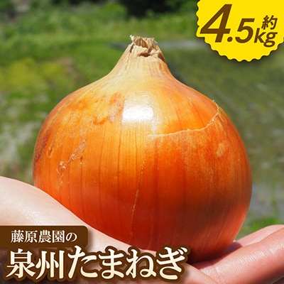 《約4.5kg》藤原農園の泉州たまねぎ　なにわの伝統野菜　サイズ混合