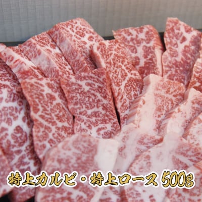 【特上ロース&特上カルビ/ホルモン】特選焼肉たれ漬けセット 計900g