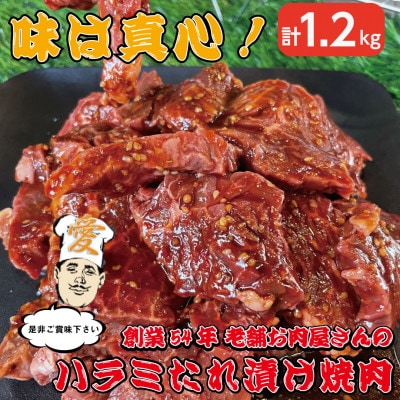 《約1.2kg》当店注文率No.1のハラミたれ漬け焼肉(甘口しょうゆ味)　ホットプレート派に人気