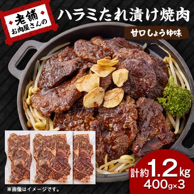 《約1.2kg》当店注文率No.1のハラミたれ漬け焼肉(甘口しょうゆ味)　ホットプレート派に人気
