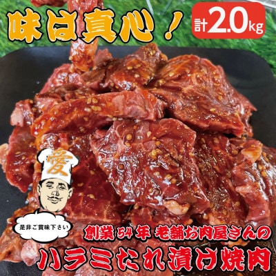 《約2.0kg》当店注文率No.1のハラミたれ漬け焼肉(甘口しょうゆ味)　BBQ用に人気
