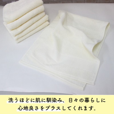 ザ・泉州タオル　　アイボリー