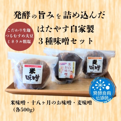 発酵食育伝道師の三種の味噌セット
