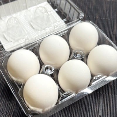 《とろ～りたまgoo 48個》こだわり温泉卵(6個入り×8パック)