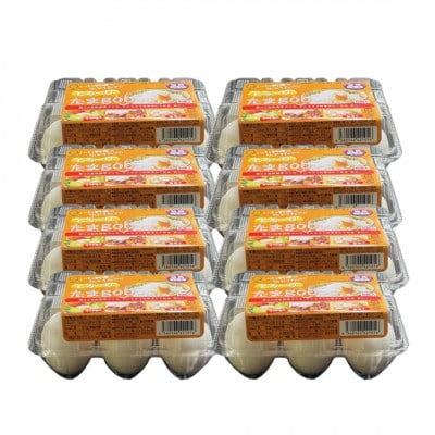 《とろ～りたまgoo 48個》こだわり温泉卵(6個入り×8パック)