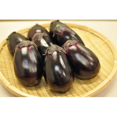 (6個入り)福田農園　泉州水なす(生)