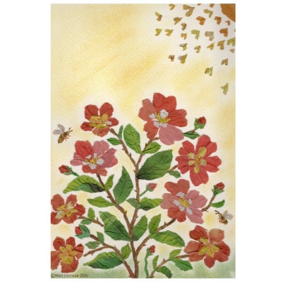 ポストカード「お花」3枚セット【ふるさと納税限定】