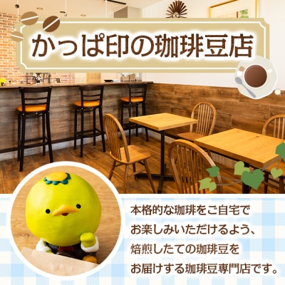 <粉>店主おすすめ!珈琲セット(計300g)
