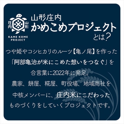 山形庄内かめこめプロジェクト 庄内まるもち プチギフト 2個入り×20個 紅白もち お祝い 個包装