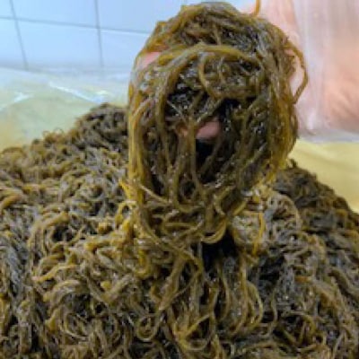 【数量限定】天然島もずく 120g×10袋