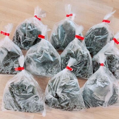 【数量限定】天然島もずく 120g×10袋