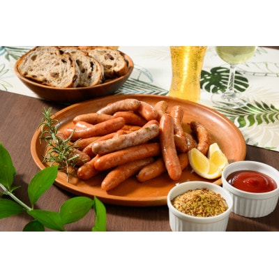 豪華9種 ウインナー・ハム・チャーシュー詰め込みセット1.8kg