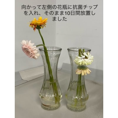 純銅　抗菌チップ5個　巾着袋入り