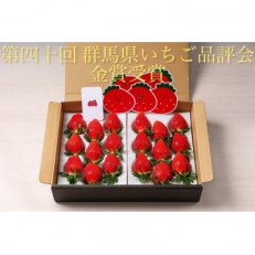 【第40回群馬県いちご品評会　金賞受賞!】群馬県のいちご　やよいひめ　約400g×2トレー | ふるさと納税のお礼品