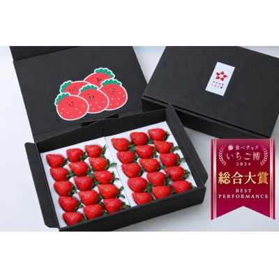 【いちごグランプリ最高金賞】やよいひめ　約800g