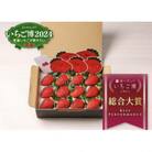 【いちご総合大賞】やよいひめ　約400g