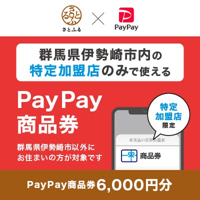 群馬県伊勢崎市　PayPay商品券(6,000円分)※地域内の一部の加盟店のみで利用可