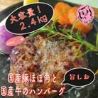 国産豚ほほ肉と国産牛のハンバーグ　1袋(200g×2個入り)×6パック(総量2.4kg)