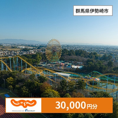 【じゃらんふるさと納税クーポン】 群馬県伊勢崎市でつかえる30,000円 クーポン