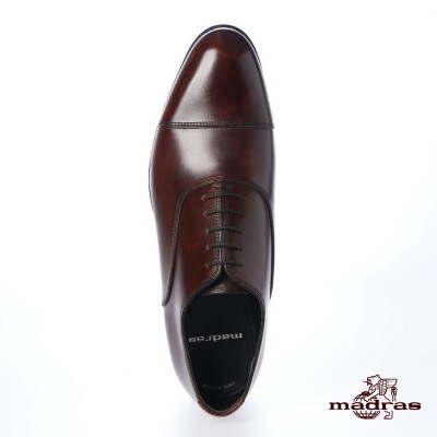 madras(マドラス)の紳士靴 M421 ブラウン 26.0cm