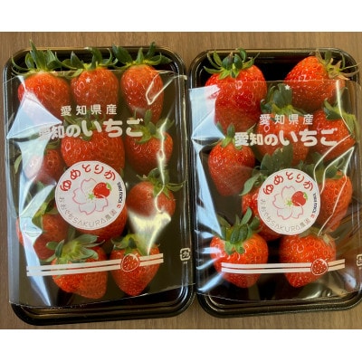 【2024年1月から順次発送】よつぼし約250g×4パック(約1kg)愛知県大口町産