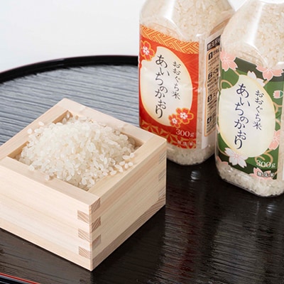 おおぐち米　あいちのかおり(2合×3本入)　精米