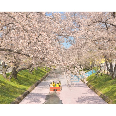 大口町五条川遊覧船　親子ペア乗船券(引換券)