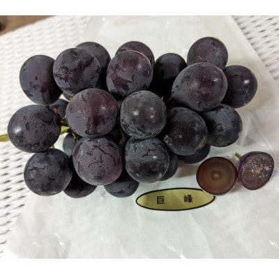 【種なし】巨峰2房+旬のぶどうの食べ比べ約2kgセット