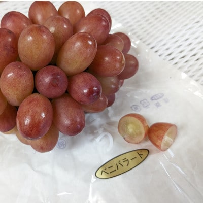 【種なし】巨峰2房+旬のぶどうの食べ比べ約2kgセット