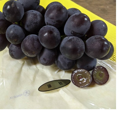 【種なし】巨峰2房+旬のぶどうの食べ比べ約2kgセット